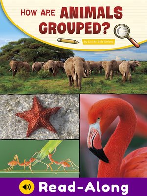 cover image of How Are Animals Grouped?